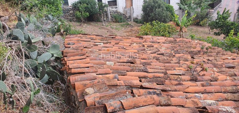 Foto dcb1bb83-824a-499d-93fc-d6d29952c352. Finca rústica a Las Mesas - El Toscón Palmas de Gran Canaria (Las)