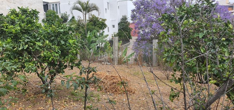 Foto f3c24597-9cb0-4efc-bb44-601ae6b9ca96. Finca rústica a Las Mesas - El Toscón Palmas de Gran Canaria (Las)