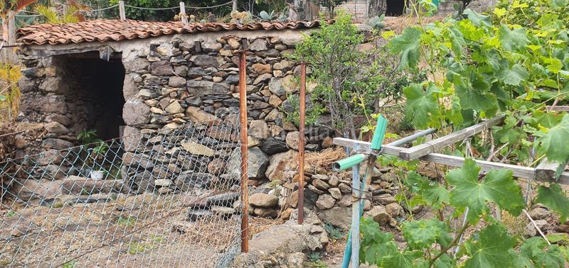 Foto fb45c1d9-e727-47ca-8a2a-b0cb44d85103. Finca rústica a Las Mesas - El Toscón Palmas de Gran Canaria (Las)