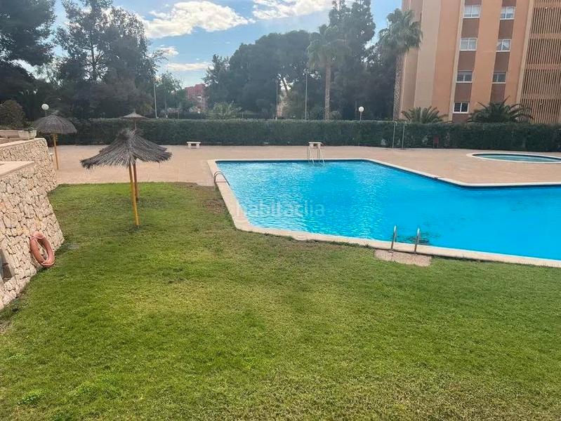 Foto cef3d006-258e-4bd8-9066-5eb78b236028. Appartamento con riscaldamento parcheggio piscina in Alicante
