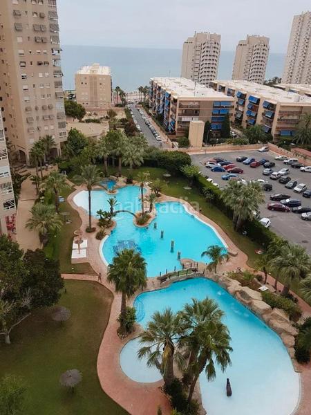 Foto fb8b3000-9d74-4dd9-9d12-4d41cce22b3d. Pis amb calefacció piscina a Playa Muchavista Campello (el)