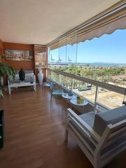 Pis  Carrer nadadora carmen soto 10. Exclusivo piso en venta en alicante - zona babel. tu nuevo refug