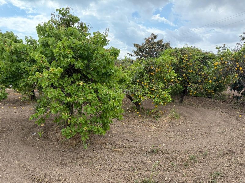 Foto ee9588af-70d5-497a-8d29-fe7b5a4b2263. Casa a El Castellar i l'Oliverar Valencia