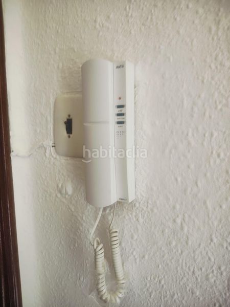 Foto c69a97a7-50d4-4ee9-99a8-dcf6f5b9b4a4. Pis a Albal