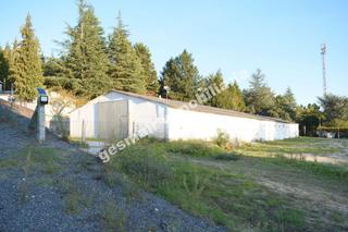 Location Bâtiment à usage industriel  N/a