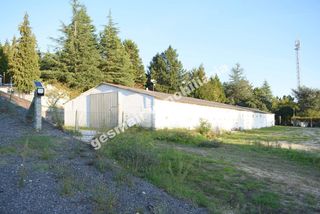 Miete Fabrikhalle  N/a