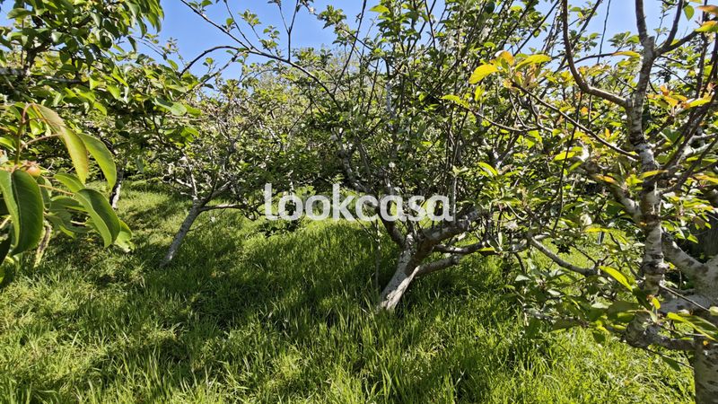 Foto 8a7b1234-cac6-4d99-9c62-7c68cb6752df. Casa amb xemeneia calefacció aparcament a Arra Sanxenxo