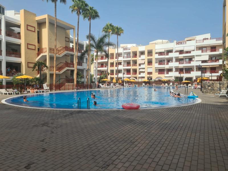 Foto 5adefc40-e259-4b02-9bcc-62f1e8d23093. Alquiler apartamento  en el palm mar 1 habitación en Arona