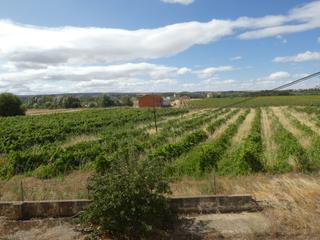 Fabrikhalle in Lerma