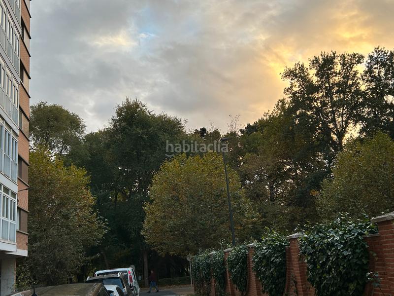 Foto 8ed4834c-9cc7-4acd-b828-0991f1919b98. Affitto locale commerciale in San Pedro de la Fuente Burgos