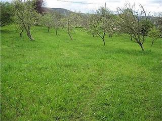 Residential Plot in Vv-11 2