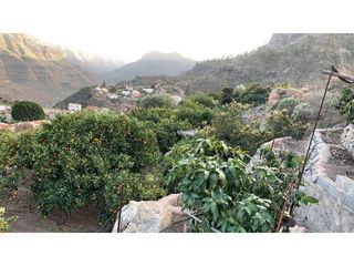 Bauernhof in El Horno. Terreno rústico con árboles frutales en barranquillo andrés