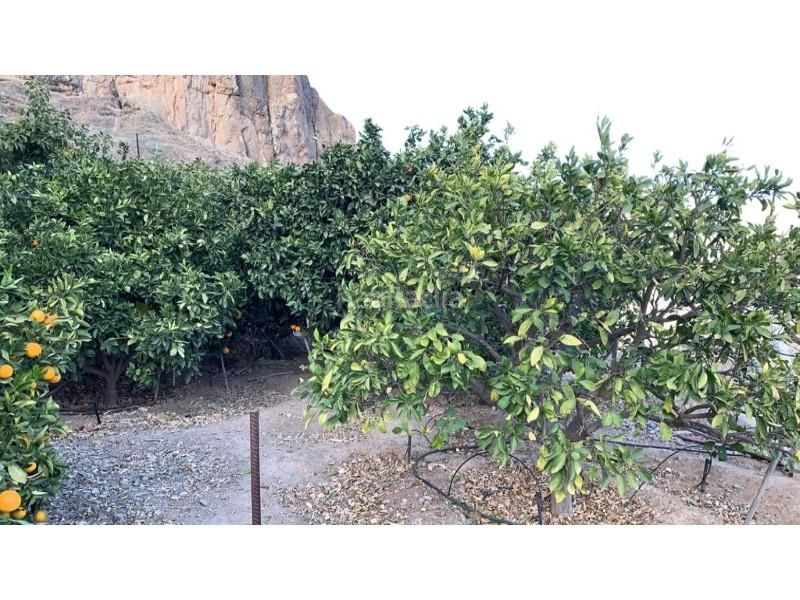 Foto cf90271e-13f6-4191-8034-b8685786f406. Masia a El Horno Mogán
