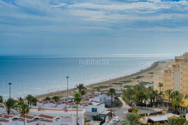 Foto efda2c47-576d-4b30-8d45-b30ce86eb0a6. Estudi amb piscina a Playa del Inglés San Bartolomé de Tirajana