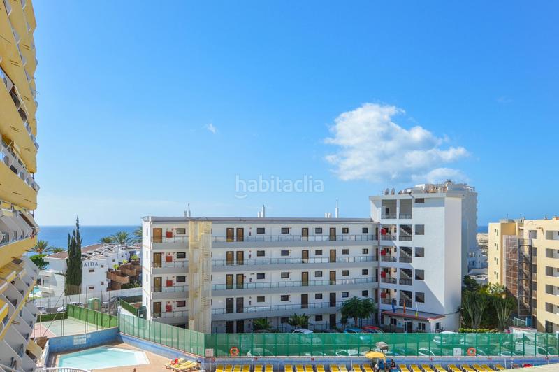 Foto faa94095-4050-48db-bd10-17608724c300. Estudi amb piscina a Playa del Inglés San Bartolomé de Tirajana