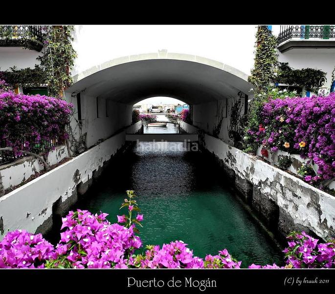 Foto 08e86953-52e7-4fb4-b8f7-23940eb0239f. Appartamento in playa de Mogán Mogán