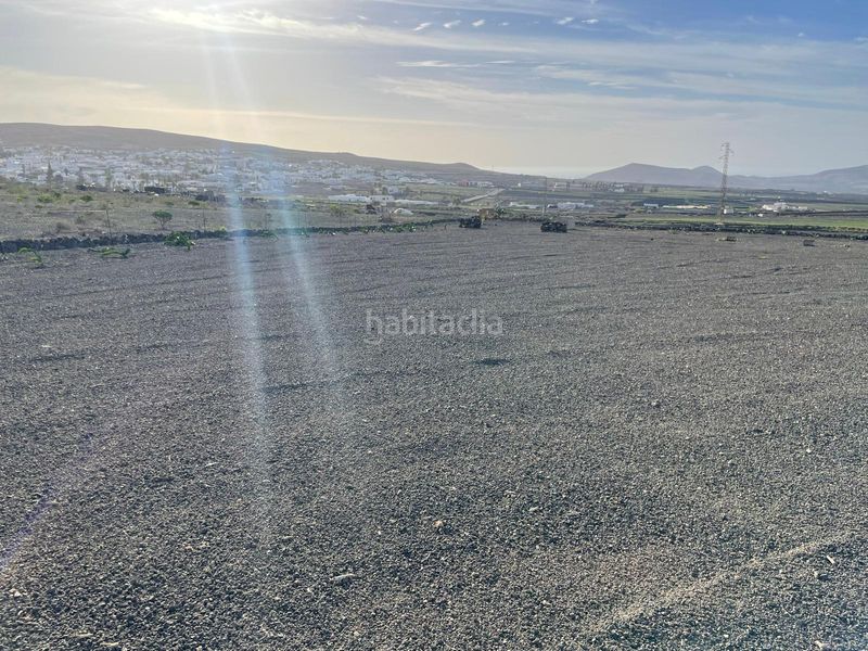 Foto c6877ef7-8bd8-40c7-99dc-9ffe2cd895bd. Finca rústica a villa de Teguise Teguise