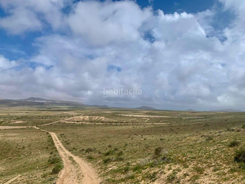 Foto 78efd7ff-cbc6-4aee-8416-3ac59dd7e9ed. Finca rústica a Tiagua Teguise