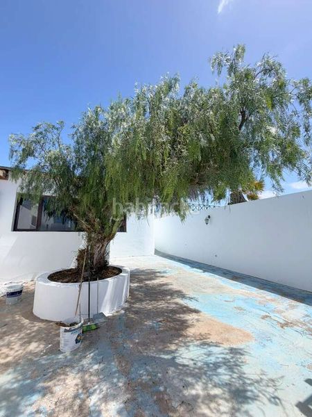 Foto a248e28e-578a-4d8b-867a-5afd8085cb71. Xalet amb aparcament piscina a Güime San Bartolomé