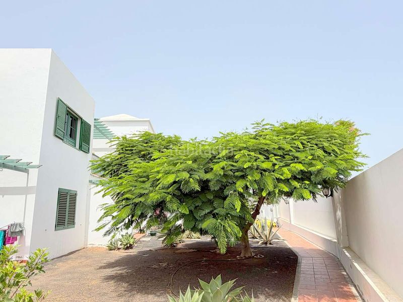 Foto 3792581c-936d-42d6-9536-c0e3823fe5c0. Apartament amb aparcament piscina a costa Teguise Teguise