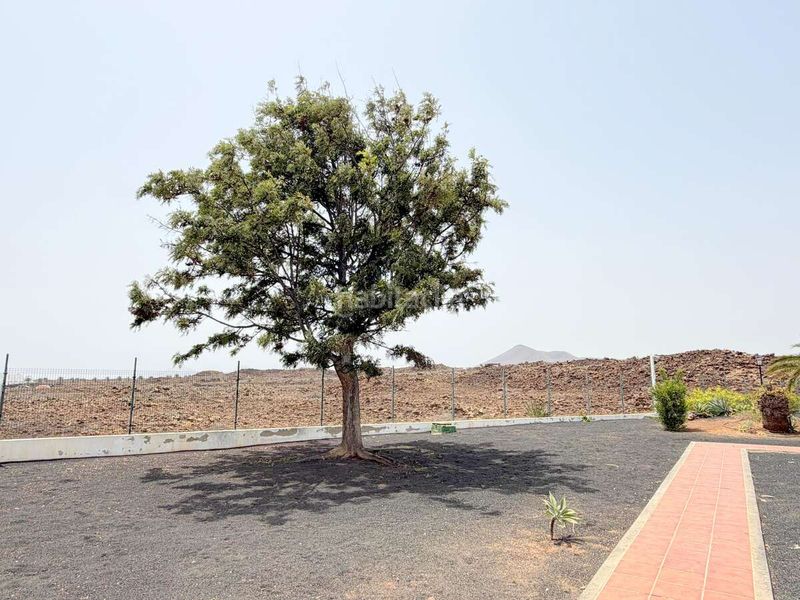 Foto e0540cad-a05d-4a6b-935c-9465d9b0f941. Apartament amb aparcament piscina a costa Teguise Teguise