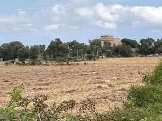 Country house in Porreres. Finca en porreres de 72720 m2 con casa de 300