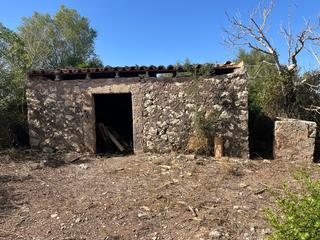 Masia a Ariany. Finca con casa para reformar en ariany