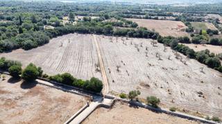 Masía en Sencelles. Finca 46000 en sencelles con dos casitas para reformar