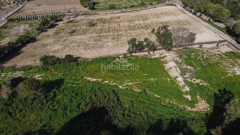 Foto 775f4a2e-db50-4bc8-8e9f-87b89e2be225. Masía finca rustica con establo en costitx en Sencelles