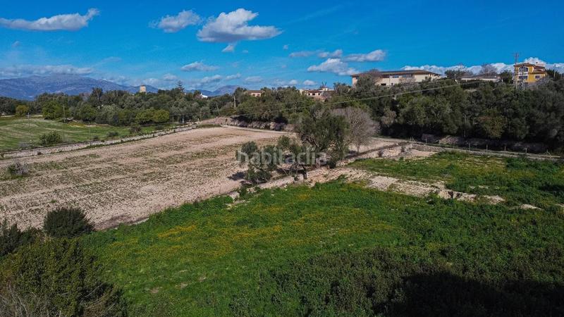 Foto 80832c65-1492-4b16-a9e3-77f0892c9221. Masía finca rustica con establo en costitx en Sencelles