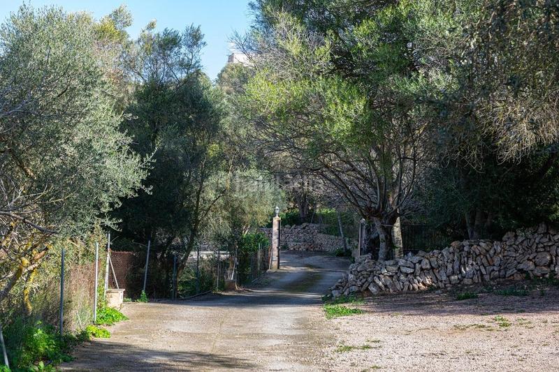 Foto e90eec7a-21ba-4e5f-827f-b01d365170c0. Masía finca rustica con establo en costitx en Sencelles