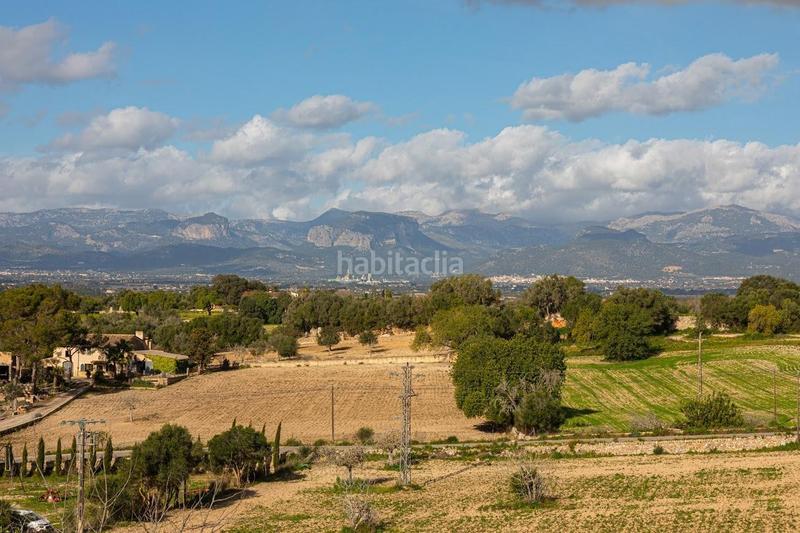 Foto fd17852a-7cae-4a4e-a82c-eea323dbb788. Masía finca rustica con establo en costitx en Sencelles