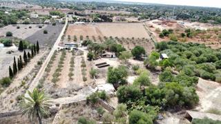 Masia a Llucmajor Interior. Se vende finca para reformar en llucmajor