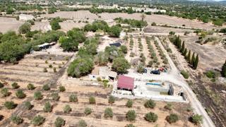 Masia a Llucmajor Interior. Se vende finca para reformar en llucmajor