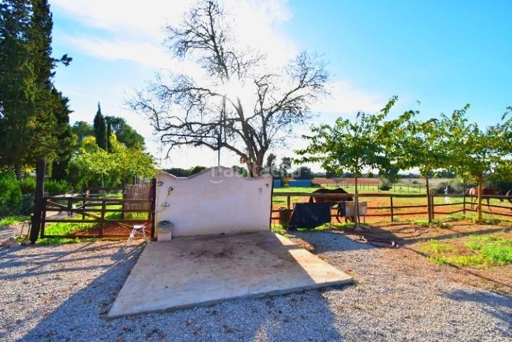 Foto 723332a5-6895-40e9-86bd-f9337791d002. Masia amb aparcament piscina a Sencelles
