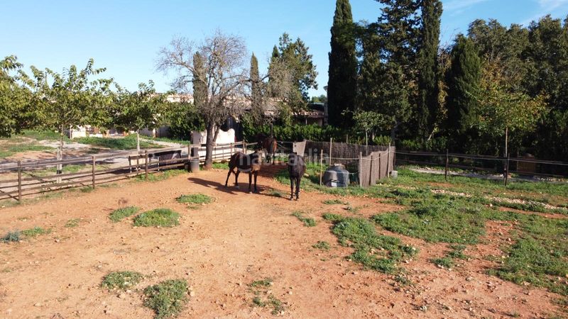 Foto d6a55b9e-69f1-4b9d-9c80-bdf4d47f90c6. Masia amb aparcament piscina a Sencelles