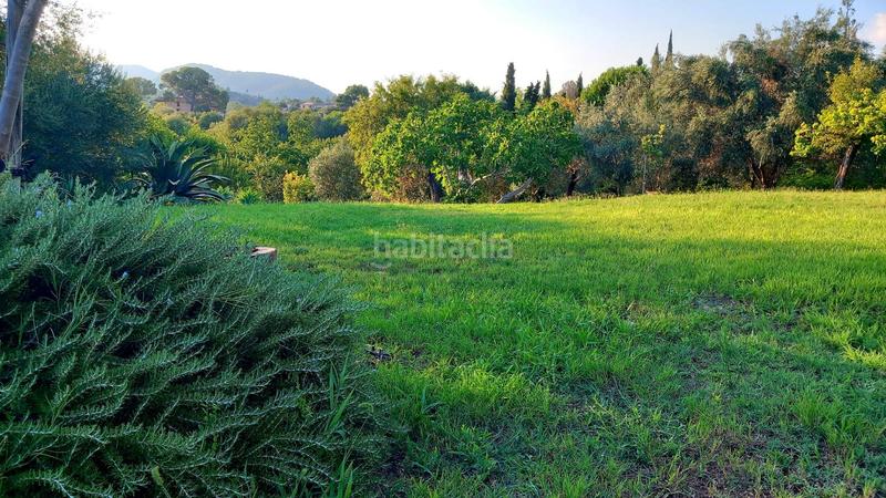 Foto 4f7ee79b-e82e-45c8-94d9-91733ef680ea. Masía casa con caracter en Establiments en Establiments Palma de Mallorca