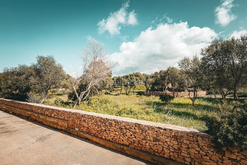 Foto d343c522-a260-44a2-a9b4-8bd8b0b5988f. Planta baixa amb aparcament a Sa Torre Llucmajor