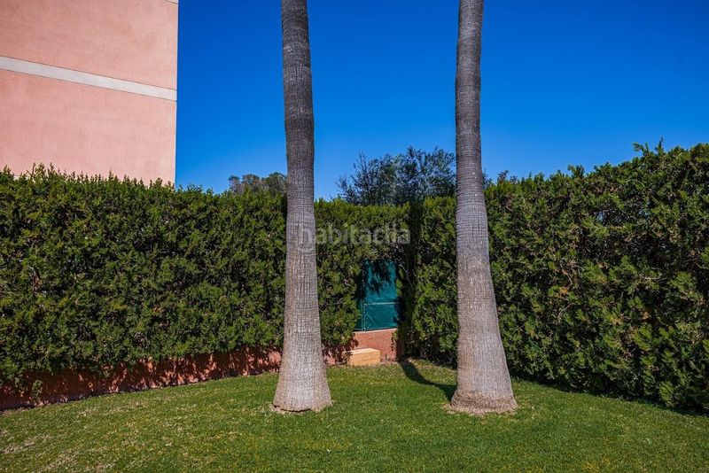 Foto 06efcded-28b6-4c5e-935e-563ed91422b9. Planta baja  residencial en las palmeras en Llucmajor