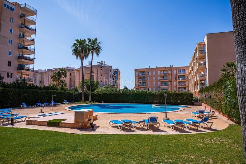 Foto 0cc81b93-fe6c-4458-876e-e1647b69ce6d. Planta baja  residencial en las palmeras en Llucmajor