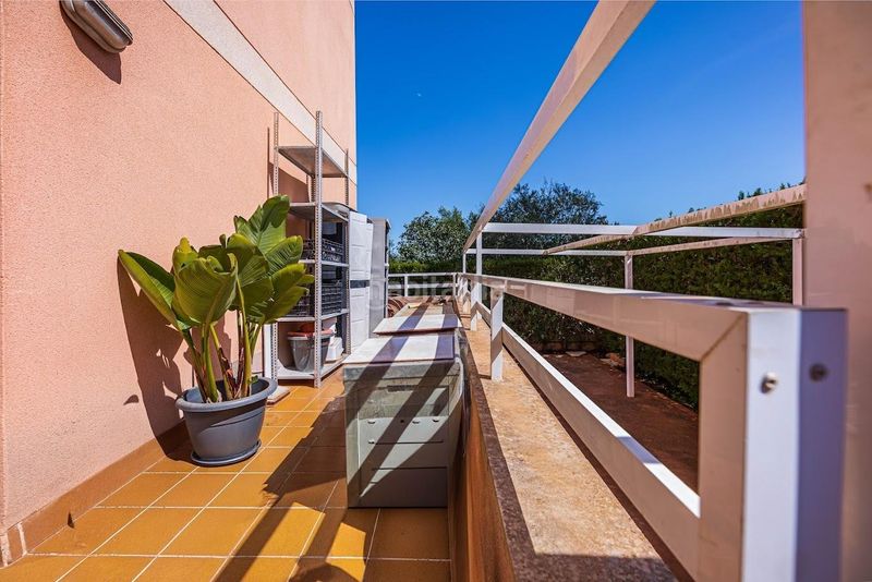 Foto 2fff9364-6721-49ac-a847-e9aa75628674. Planta baja  residencial en las palmeras en Llucmajor