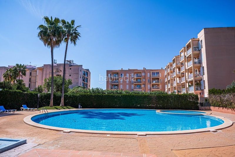 Foto 6b9e504d-7c0a-4447-8205-77891c1ddf6e. Planta baja  residencial en las palmeras en Llucmajor