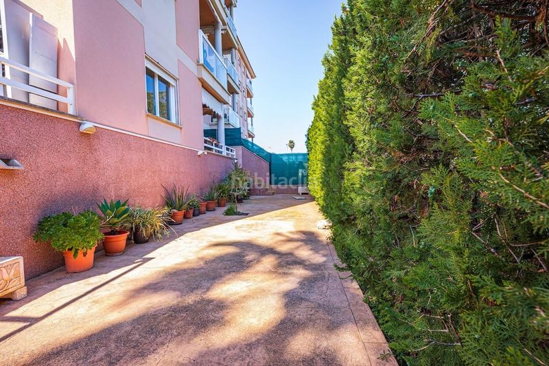 Foto a7c0b164-cc76-47dd-bb09-1282849e5348. Planta baja  residencial en las palmeras en Llucmajor