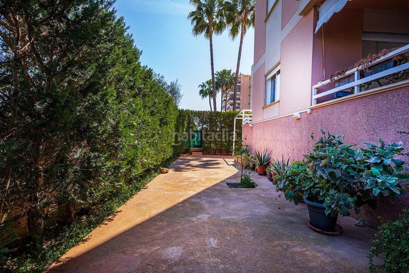 Foto d417acb5-b9e1-4006-8769-d7d3ea21d069. Planta baja  residencial en las palmeras en Llucmajor