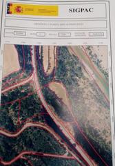 Residential Plot in Grado (El)