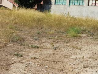 Terreny residencial a Estada