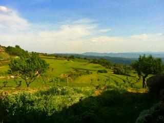 Residential Plot in Graus