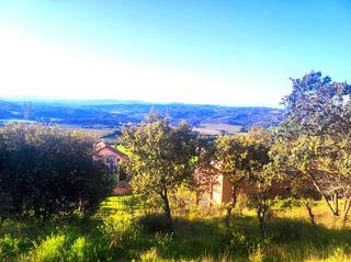 Residential Plot in Barbastro