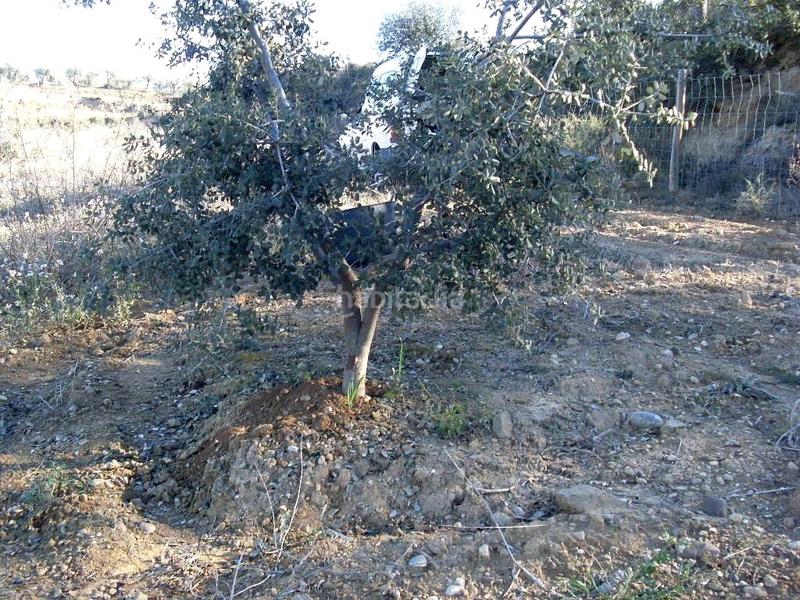 Foto 6b820f40-036d-4286-baf8-f19e2a802abb. Terreno residencial en Barbastro