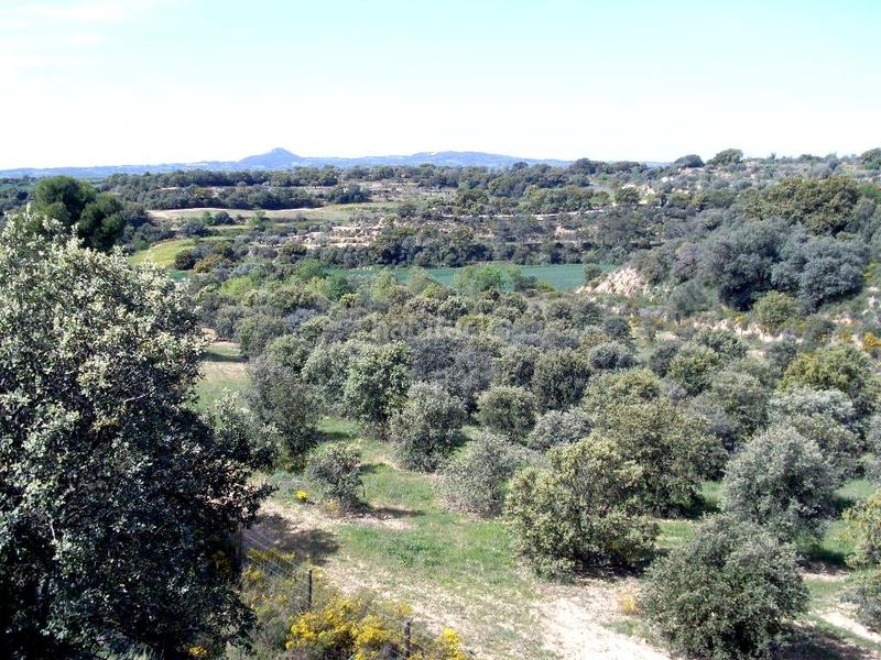 Foto 73891cfc-4918-4d47-9aec-be51b34f6f8f. Terreno residencial en Barbastro